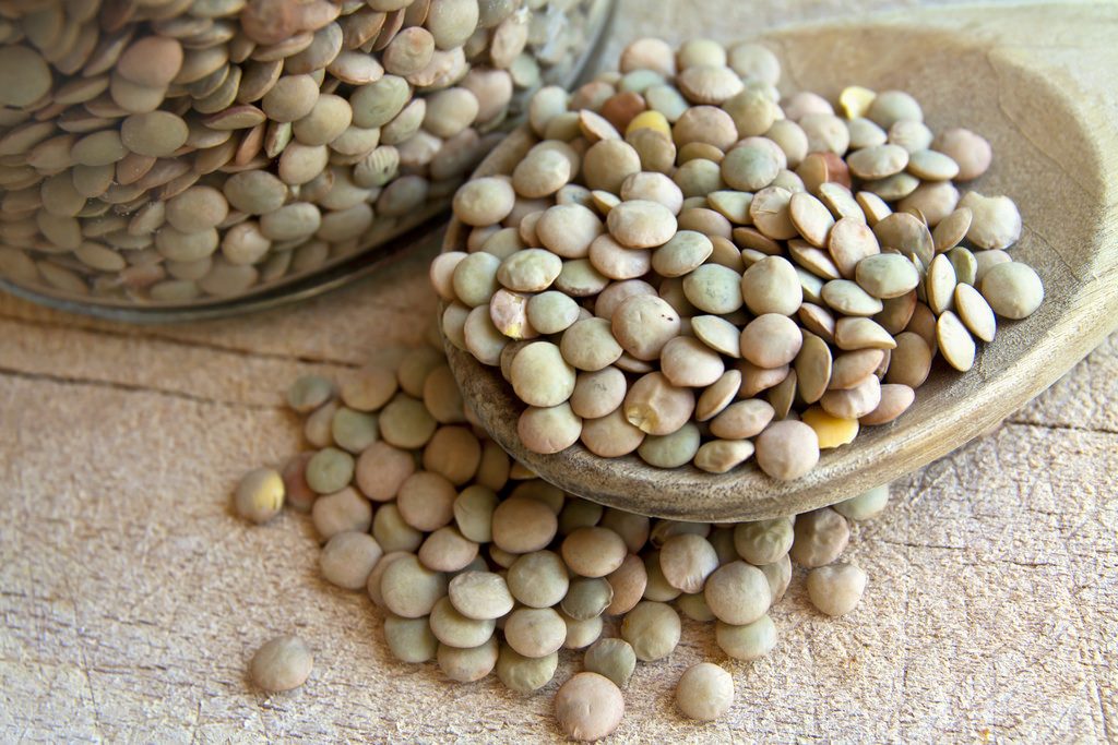 lentille nutrition bébé